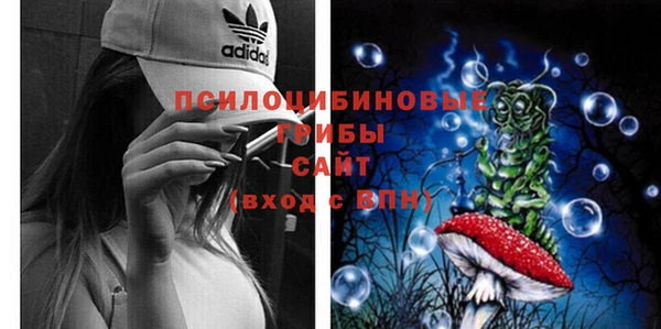 твердый Баксан