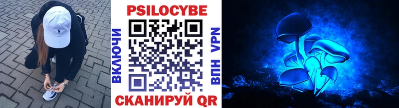это как зайти Воркута Псилоцибиновые грибы Magic Shrooms